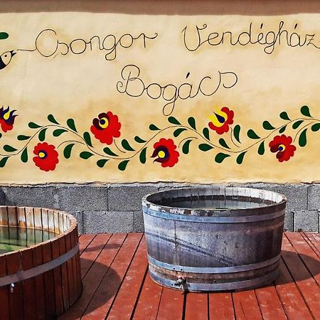 Csongor Vendeghaz: Bogacs Villa ภายนอก รูปภาพ